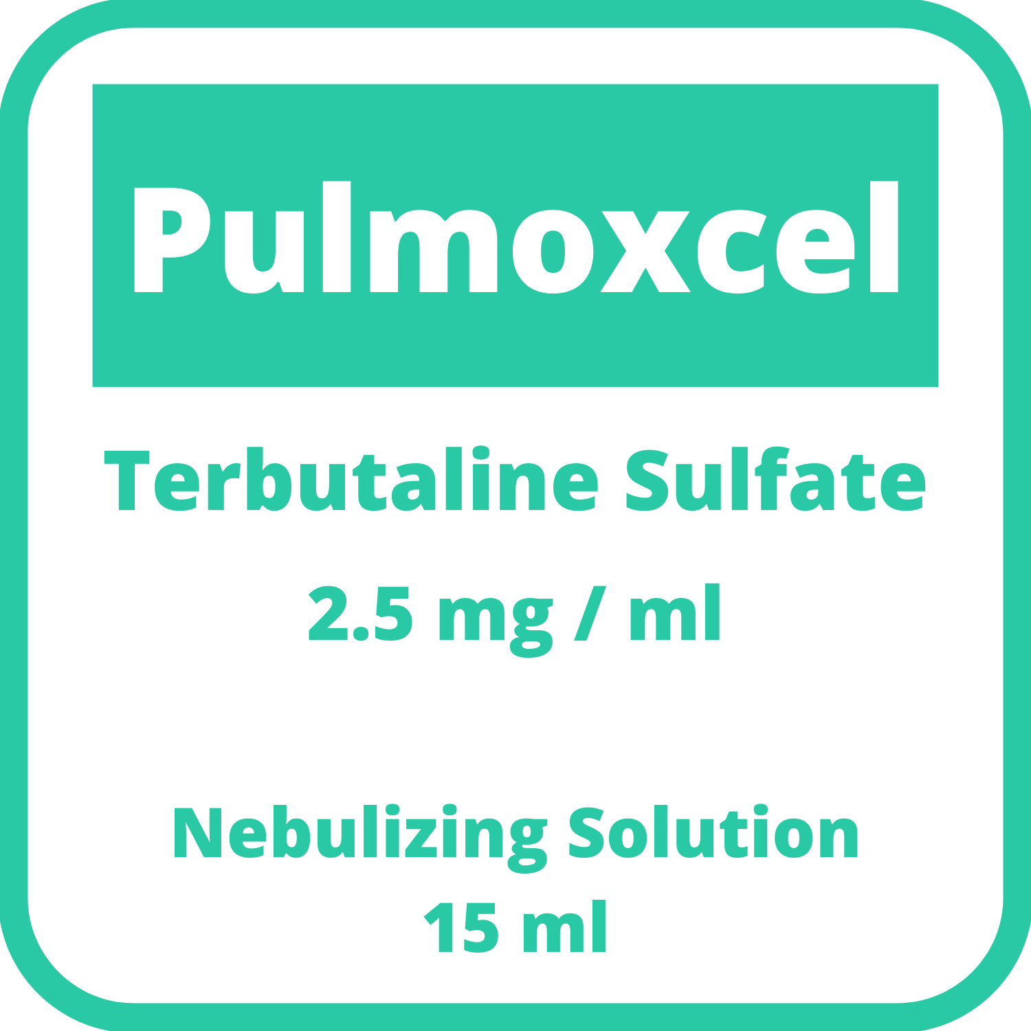 PULMOXCEL Terbutaline Sulfate 2.5mg / mL Nebulizing Solution 15mL price ...