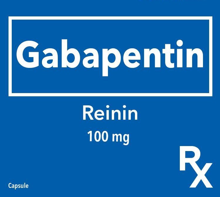 REININ Gabapentin 100mg Capsule 1 s price in the Philippines