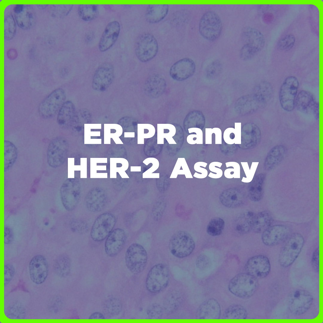 ER-PR and HER-2 Assay price in the Philippines | MedsGo Pharmacy