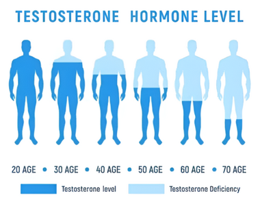 Cover image for ANDROPAUSE - MALE MENOPAUSE. KATOTOHANAN O KATHA?