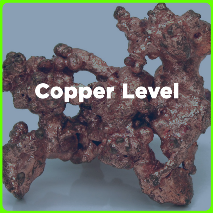 Copper Level price in the Philippines | MedsGo Pharmacy