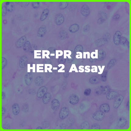 ER-PR and HER-2 Assay price in the Philippines | MedsGo Pharmacy