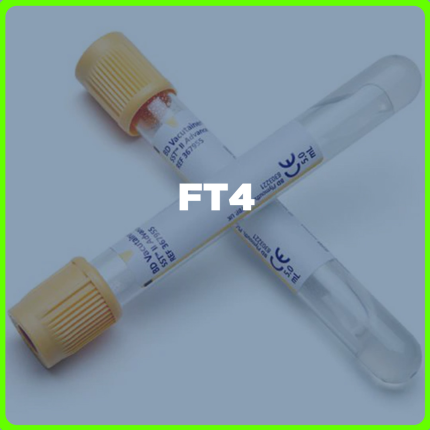 FT4 price in the Philippines | MedsGo Pharmacy