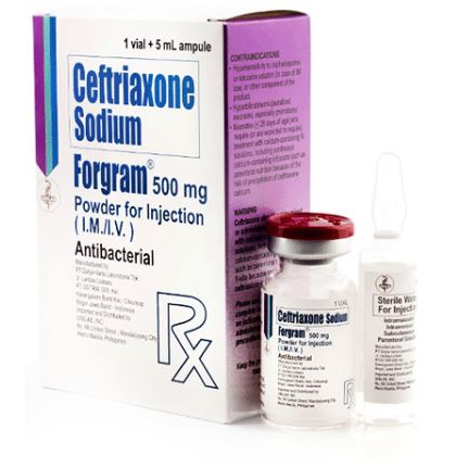 FORGRAM Ceftriaxone Sodium 500mg Powder for IM/IV Injection 5mL 1's ...